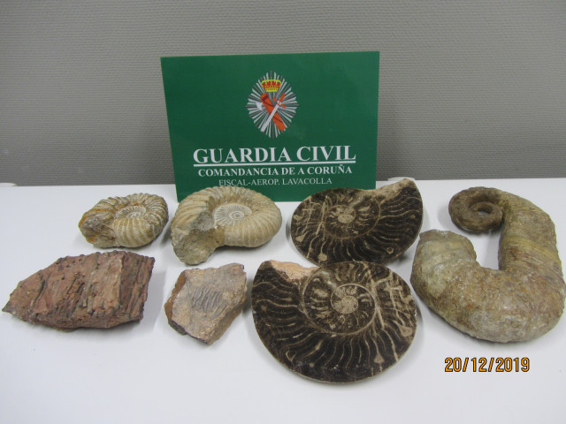 Fósiles incautados pola Garda Civil no aeroporto de Santiago