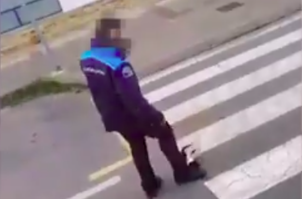 Caputra de pantalla onde un policia local de Pontedeume patea a un gato atropelado