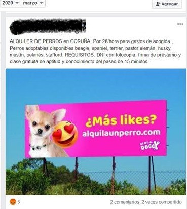 Indentificado un individuo na Coruña que alugaba aos seus cans por redes sociais pasa sacalos a pasear durante o estado de alarma.