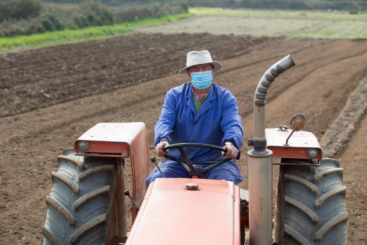 Archivo - Manuel Rodríguez ara sus fincas con el tractor y mascarilla para plantar patatas  en Lugo, Galicia (España), a 24 de marzo de 2021. El sector primario ha sido fundamental durante la pandem