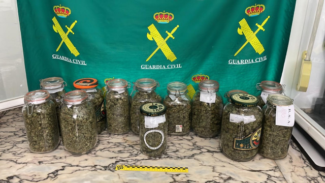 Material intervido a unha veciña de Ferreira do Valadouro (Lugo) detida por unha plantación de cánnabis con 290 pugas e plantas.