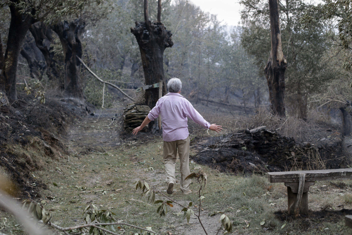 Unha persoa camiña por unha das zonas queimadas polo incendio de Folgoso do Courel, ao 18 de xullo de 2022, en Folgoso do Courel, Lugo, Galicia (España). A superficie arrasada polos principais 