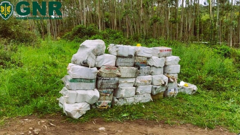 Alijo de cocaína localizado en un bosque de Peniche en una foto de la GNR de Leiria