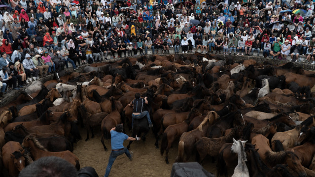 Archivo - Los aloteiros se acercan a los caballos en el castro durante la Rapa das Bestas 2022, a 3 de julio de 2022, en Sabucedo, Pontevedra, Galicia (España).