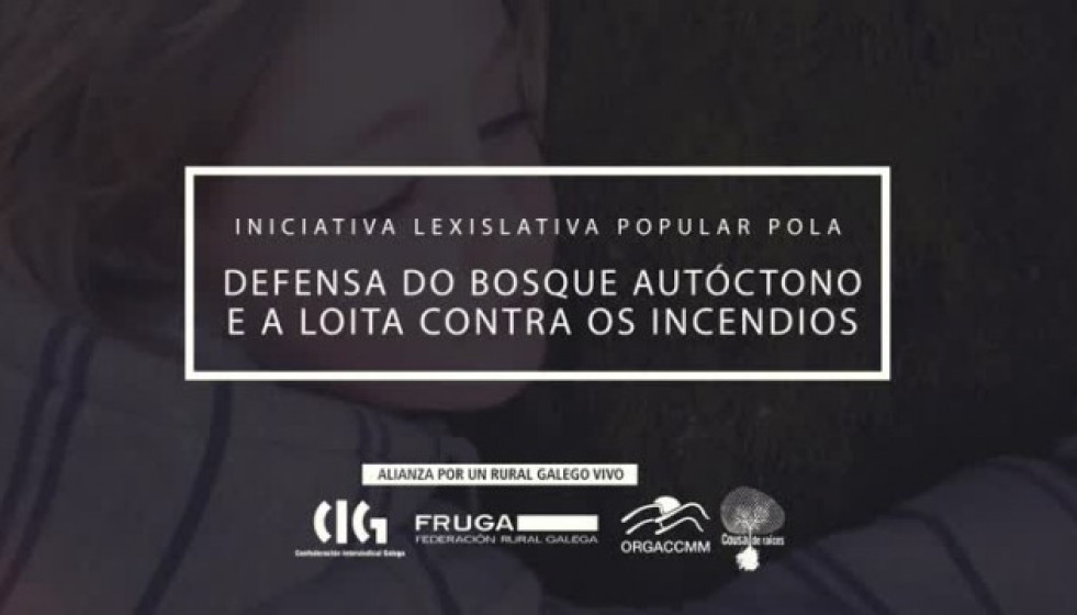 6183384