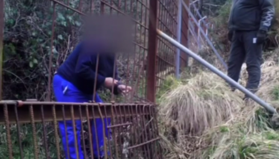 AprafogaScreenshotfrom20180407123525