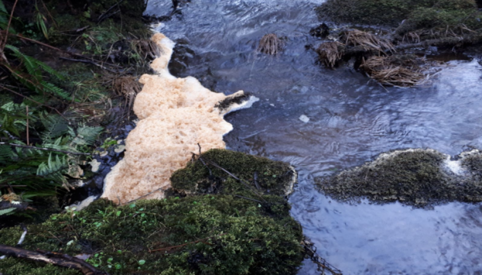 Robrandelosminatouroopinonon