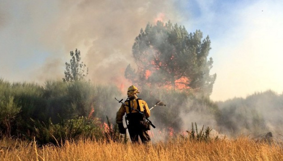 Incendioverintintoresbrif 2