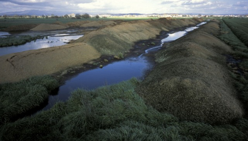 Megaesterqueira polos Sandias1web