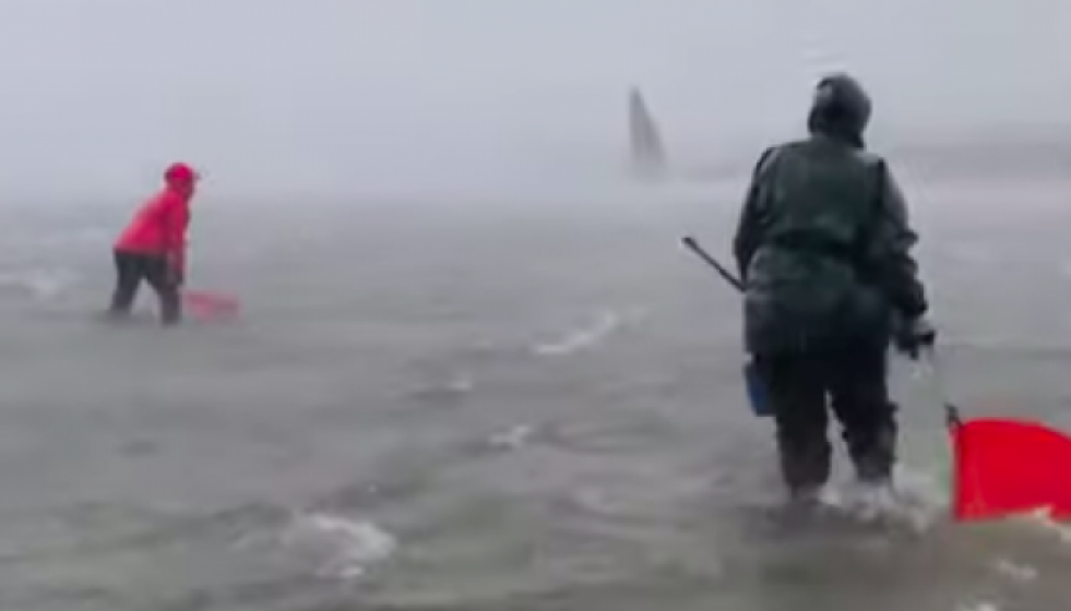 Mariscadorasencambadosundiadetemporal