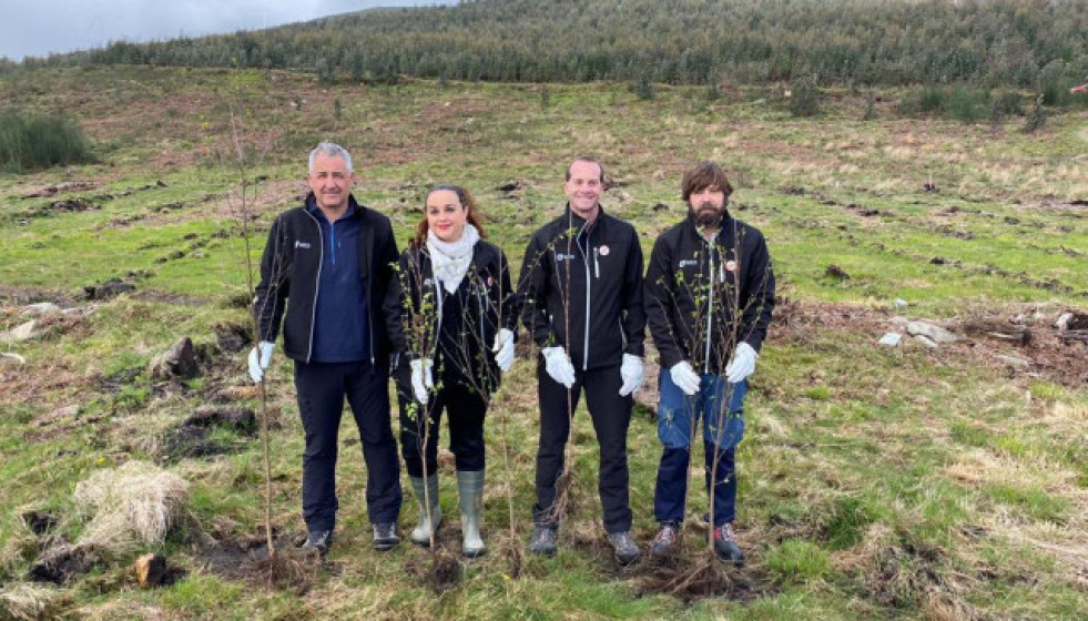 PlantacinderbolesautctonasporpartedeEcoembes