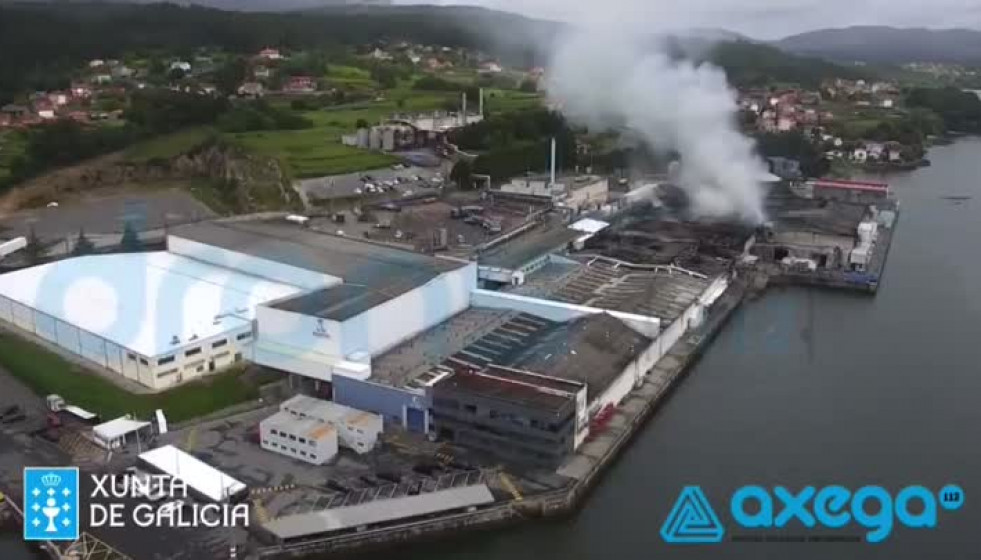 WhatsApp Video 2021 05 09 at 19.18.40