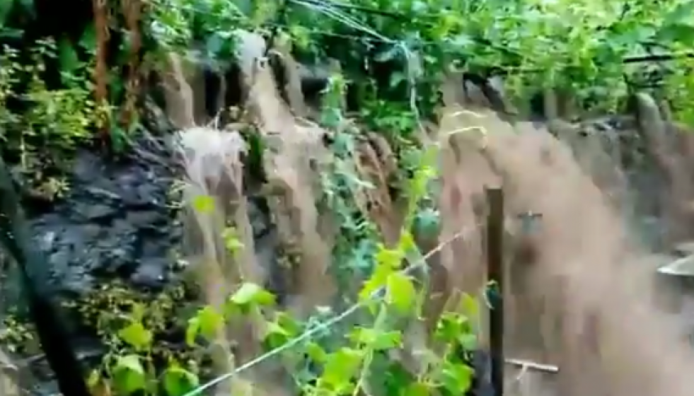 Lluviaribeirasacra