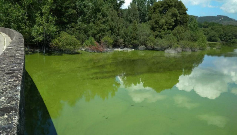 Asconchasecoloxistasenaccion