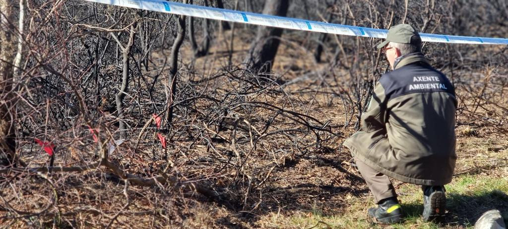 Agente da UIFO la unidad de Medio Rural que investiga los incendios