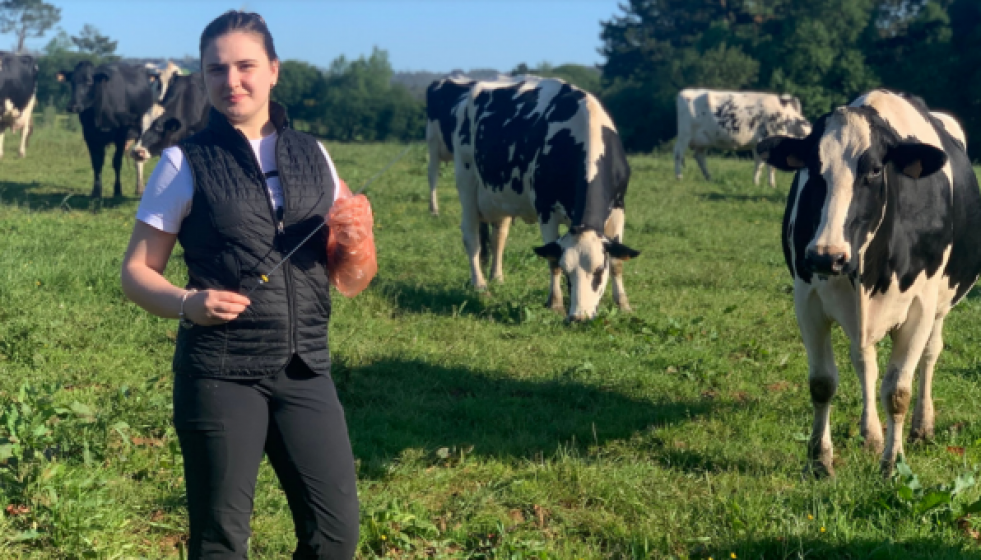 GanaderaenunaimagendeAgaca