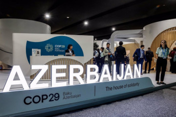 Cop29