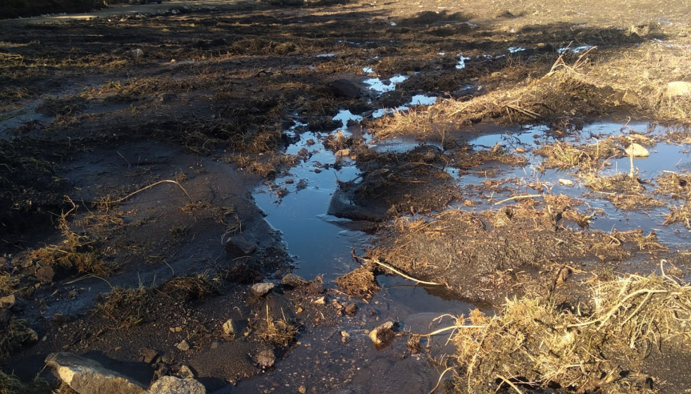 Parcela en donde se pretende instalar la granja de cerdos en Friol