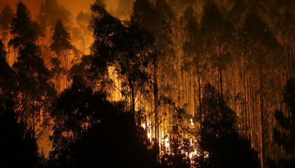 Archivo - Árboles de eucalipto arden durante el incendio, a 12 de octubre de 2023, en Vidal, Trabada, Lugo, Galicia (España). La proximidad del incendio a núcleos de población ha obligado a declar