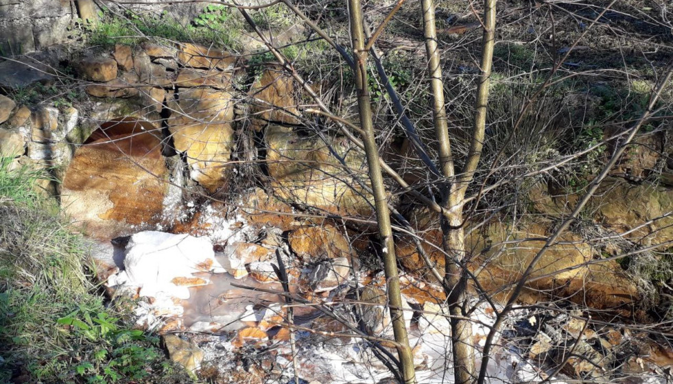 El Portapego contaminado en Touro en una foto remitida por Ecologistas en Acción el 7 de febrero