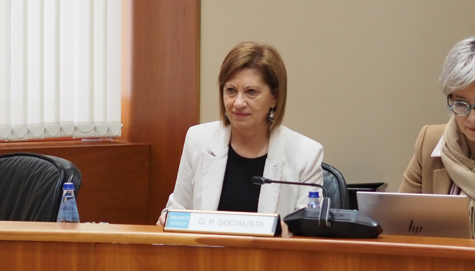 La viceportavoz del Grupo Parlamentario Socialista, Elena Espinosa.