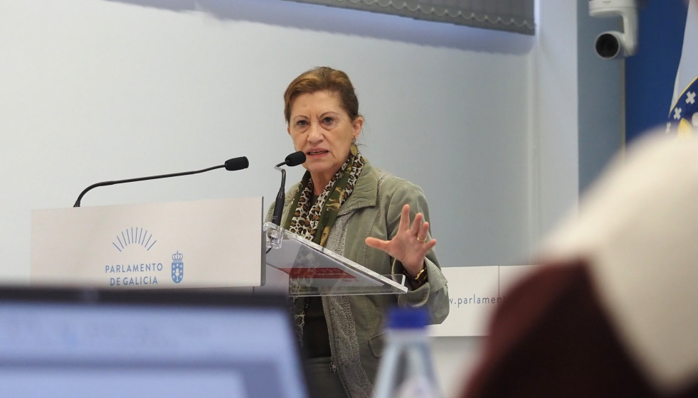 La portavoz de Sanidad del Grupo Socialista, Elena Espinosa.