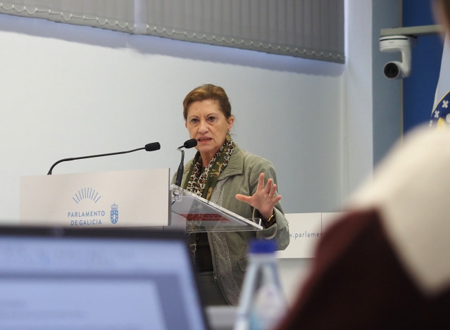 La portavoz de Sanidad del Grupo Socialista, Elena Espinosa.
