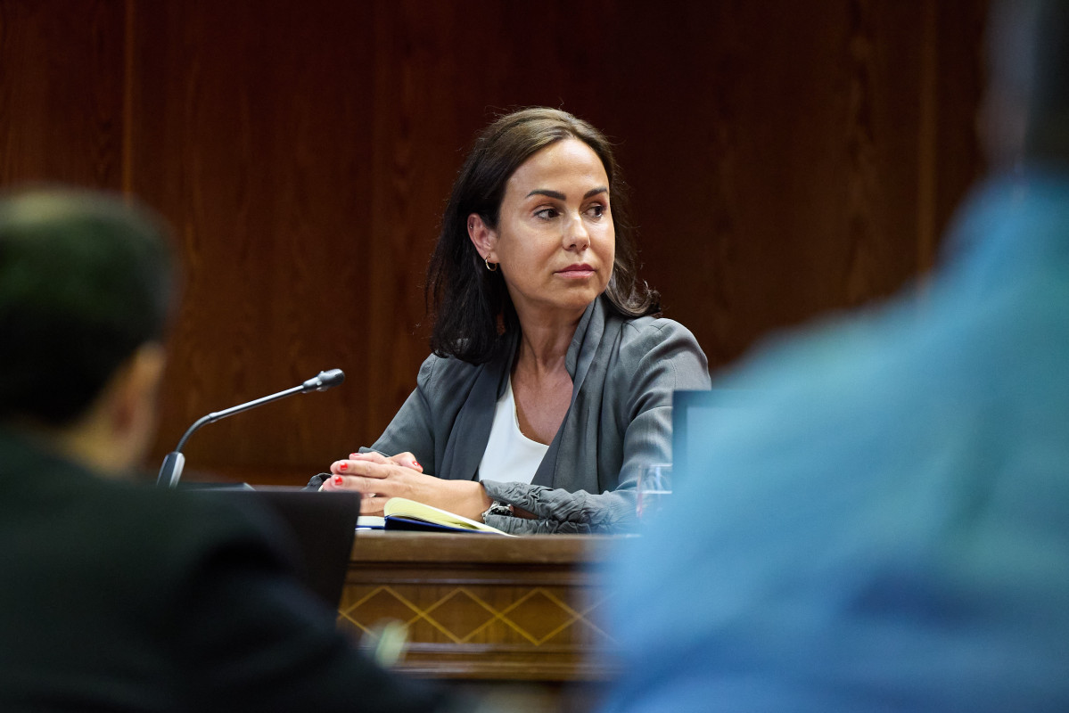 La expresidenta de Adif y ex secretaria de Estado de Transportes, Movilidad y Agenda Urbana, Isabel Pardo de Vera Posada, durante su comparecencia ante la Comisión de Investigación sobre el ‘caso 