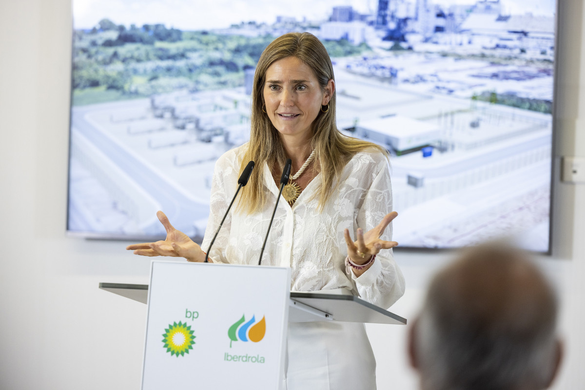 Archivo - La secretaria de Estado de Energía del Ministerio para la Transición Ecológica y el Reto Demográfico, Sara Aagesen, interviene durante la presentación del proyecto de hidrógeno renovab