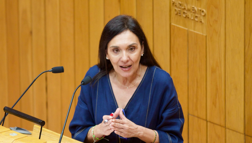 La diputada socialista Carmen Rodríguez Dacosta