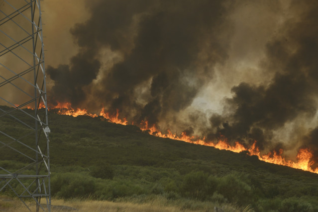 Incendio forestal se acerca a Vilela.