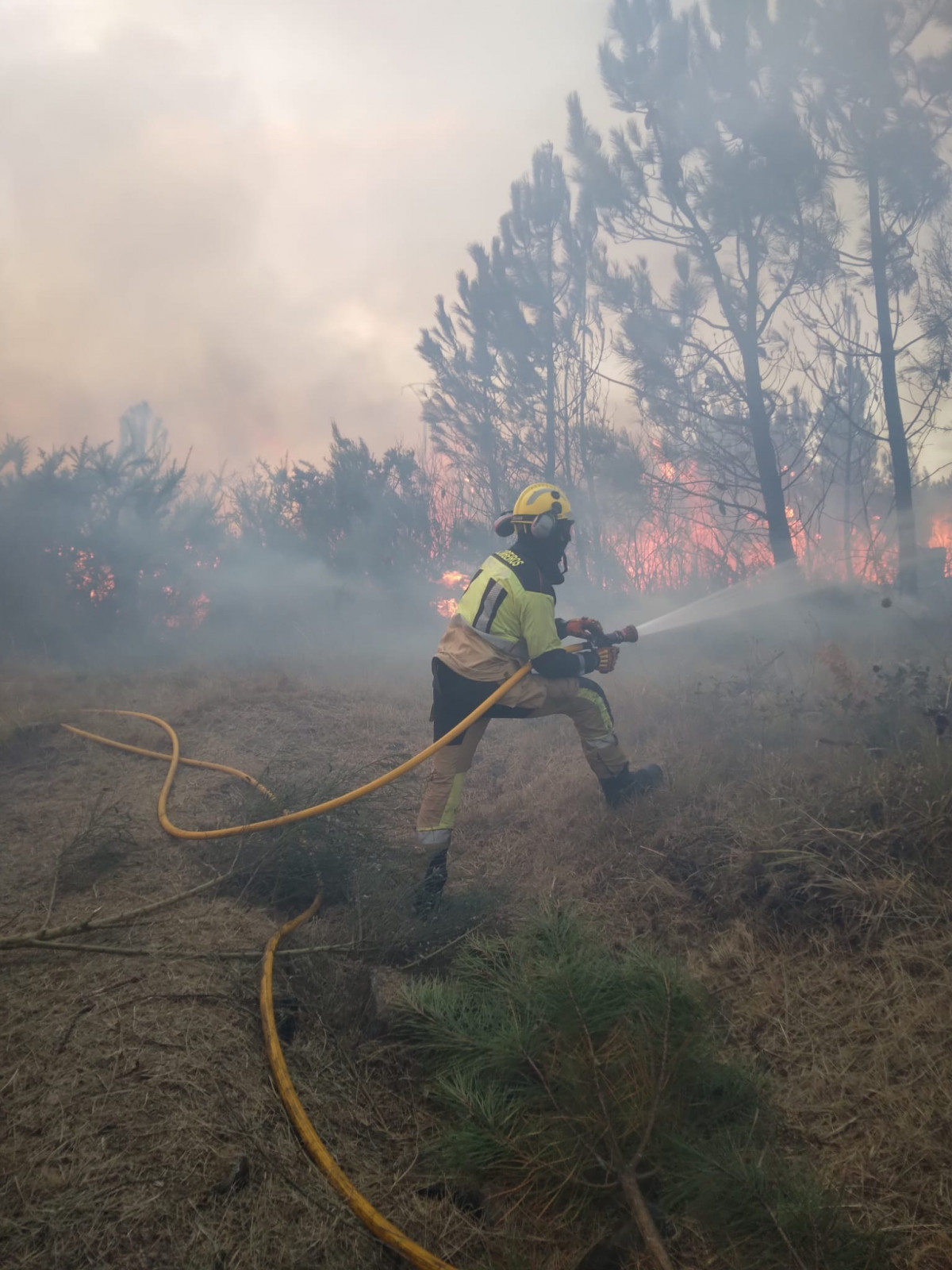 Un bombero forestal trabajando en la extinción del fuego