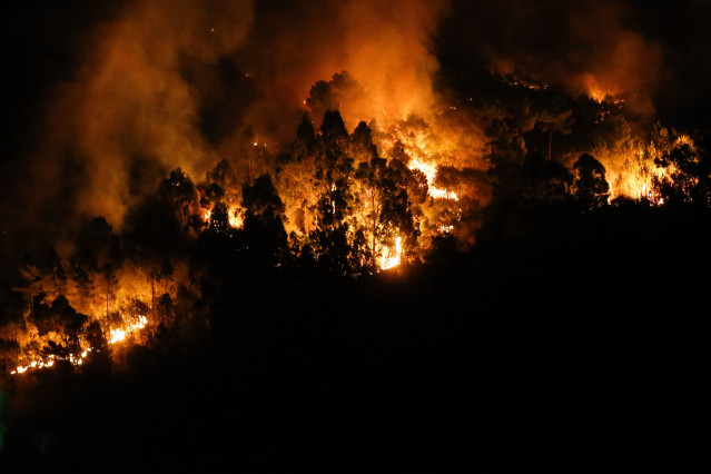 Llamas del fuego de Quiroga.