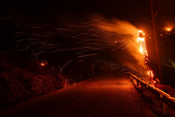 Un árbol todavía en llamas, a 26 de agosto de 2025, en Margaride de Lor, Lugo, Galicia (España). L