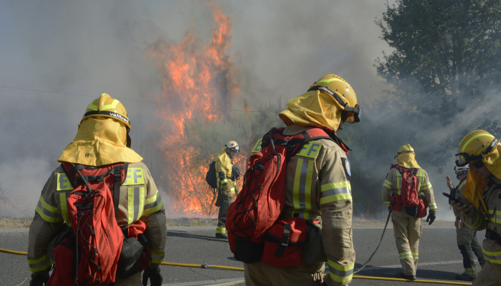 Archivo - Varios bomberos tratan de apagar el fuego durante el incendio forestal en la parroquia de Oseira, a 20 de agosto de 2024, en San Cristovo de Cea, Ourense, Galicia (España). Las llamas, que