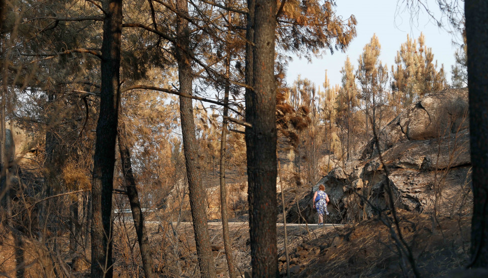 Vista del campo quemado tras el incendio, a 24 de agosto de 2025, en Seadur, Ourense