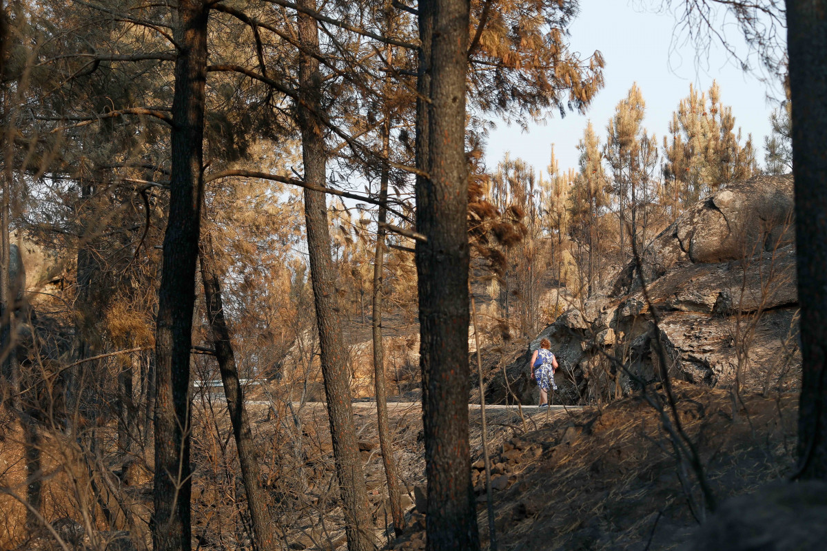 Vista del campo quemado tras el incendio, a 24 de agosto de 2025, en Seadur, Ourense