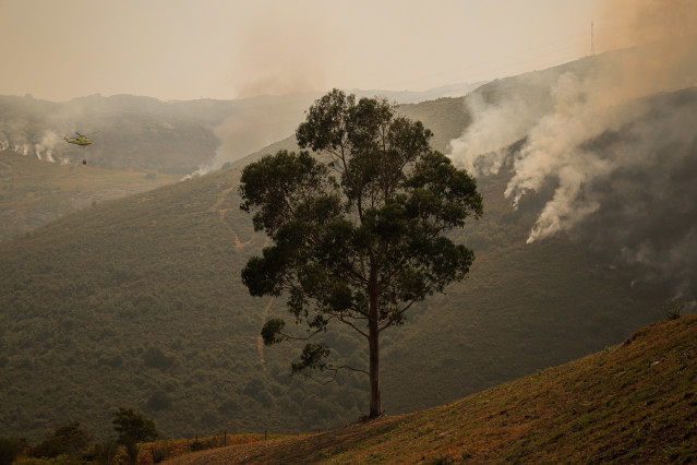 Efectivos aéreos de los bomberos durante las labores de extinción del incendio de Avión.