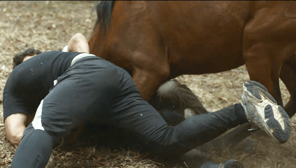 Fotograma de la Escena inicial de aloitadores y caballos en As Bestas