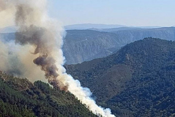 Incendio en Lornín Pantónt