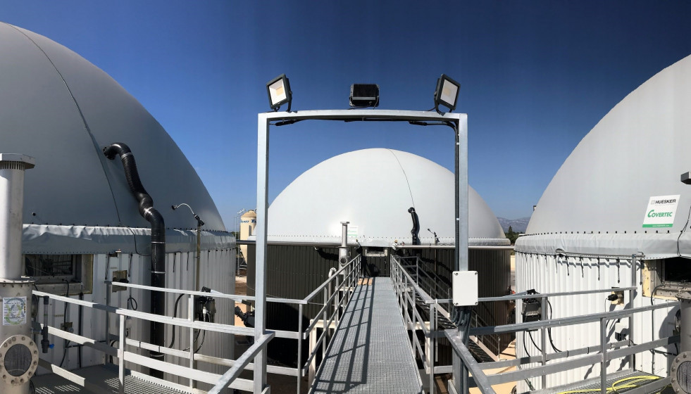 Archivo - Planta en el municipio de La Galera (Tarragona)