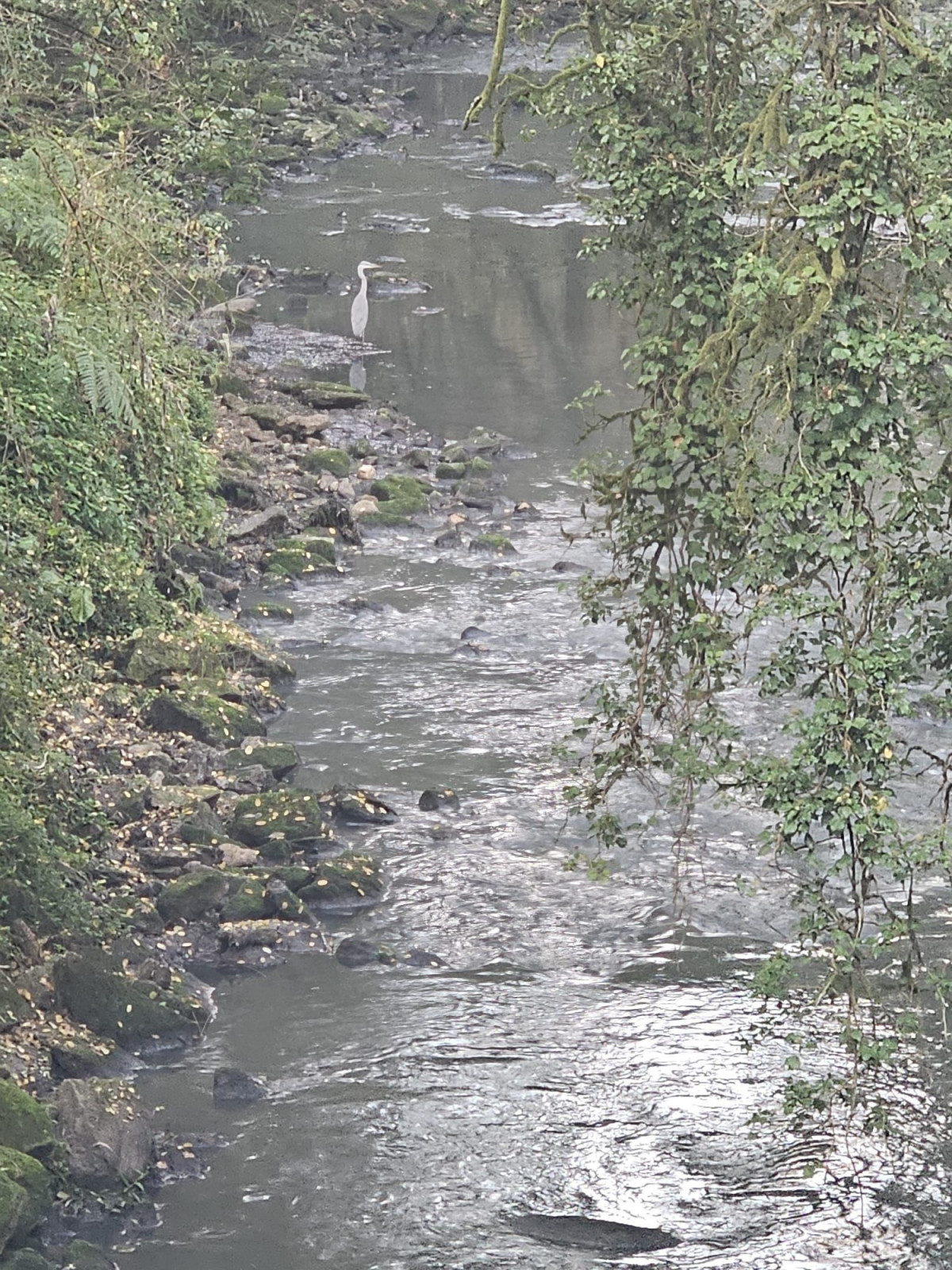Rio Sar en una foto del Ayuntamiento de Ames