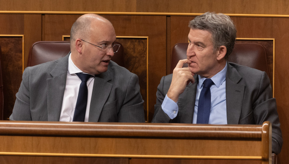 Archivo - El portavoz del PP en el Congreso, Miguel Tellado (i) y el presidente del PP, Alberto Núñez Feijóo (d), interviene durante un pleno en el Congreso de los Diputados, a 12 de marzo de 2025,