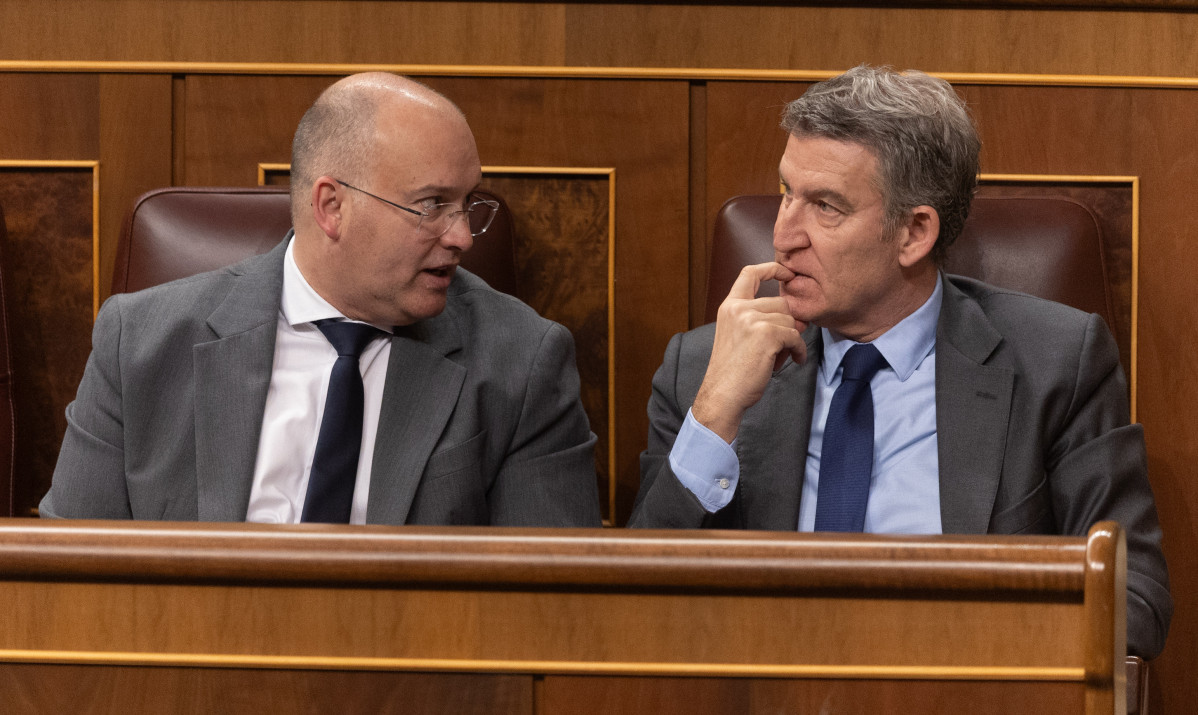 Archivo - El portavoz del PP en el Congreso, Miguel Tellado (i) y el presidente del PP, Alberto Núñez Feijóo (d), interviene durante un pleno en el Congreso de los Diputados, a 12 de marzo de 2025,