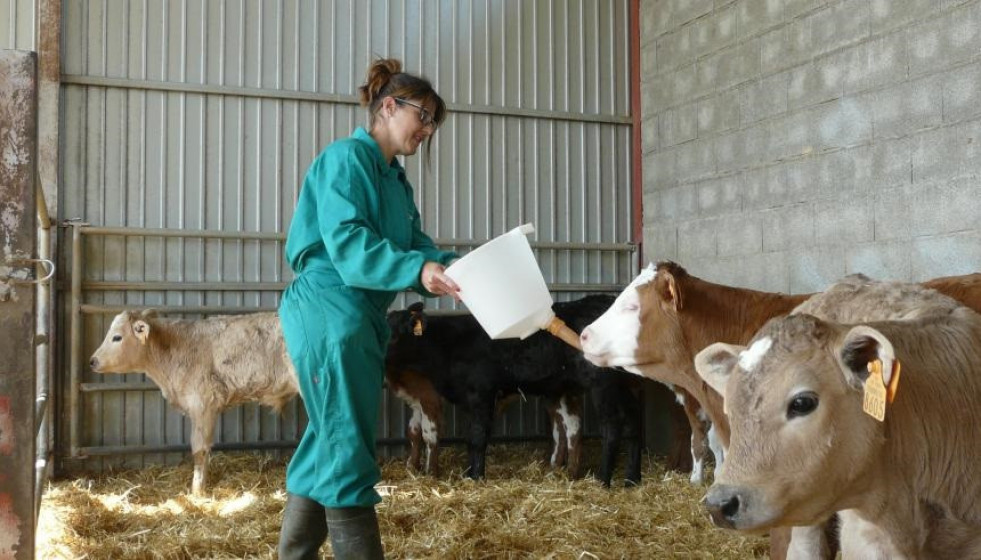 Archivo - Mujer en una explotación ganadera.