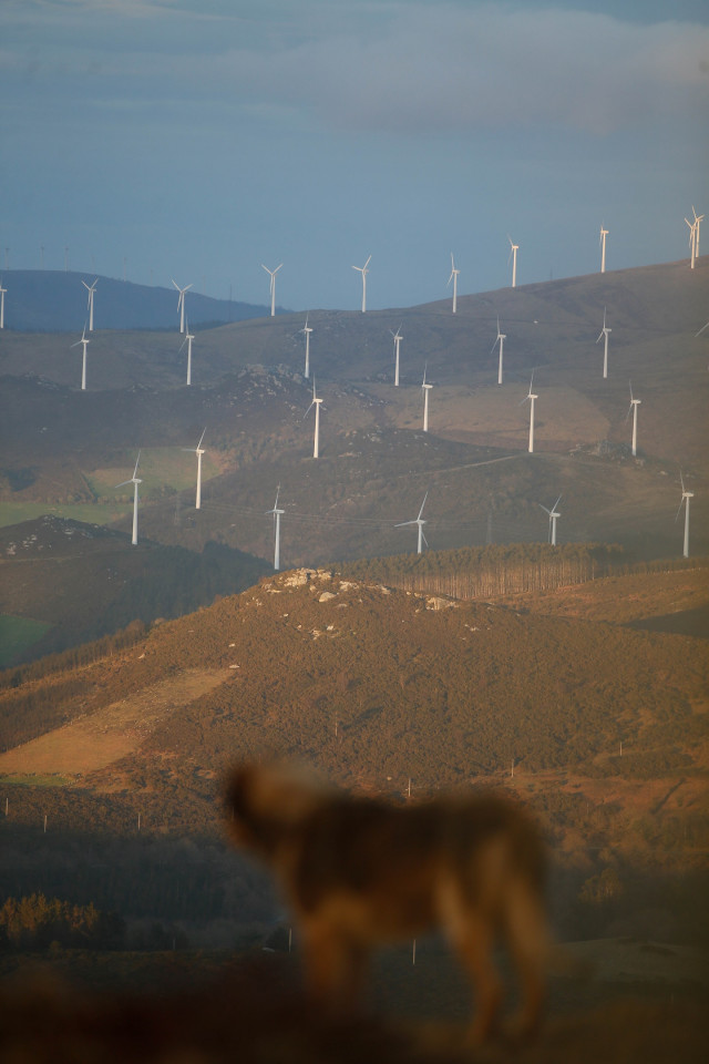 Archivo - Un parque eólico, en Muras, Lugo.