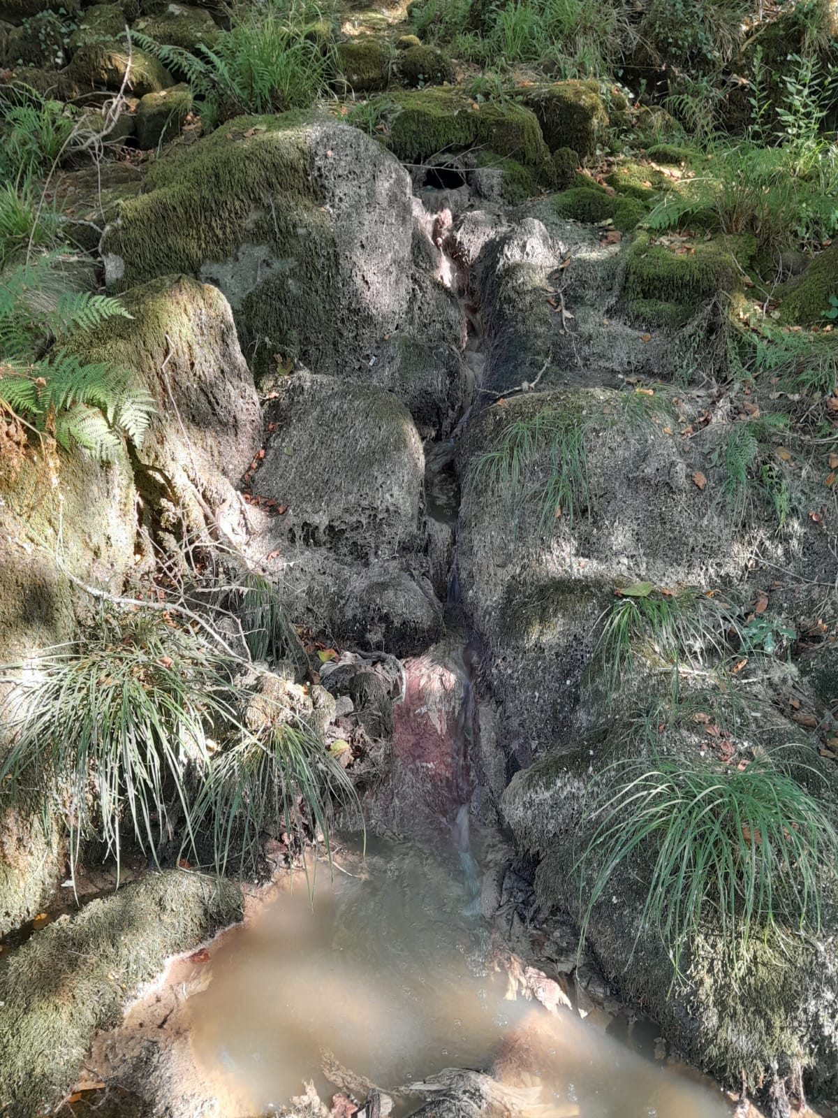 Photo 2025 10 15 19 27 28 (2)