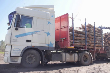 Camión con eucalipto en una imagen de Viveiros Ence