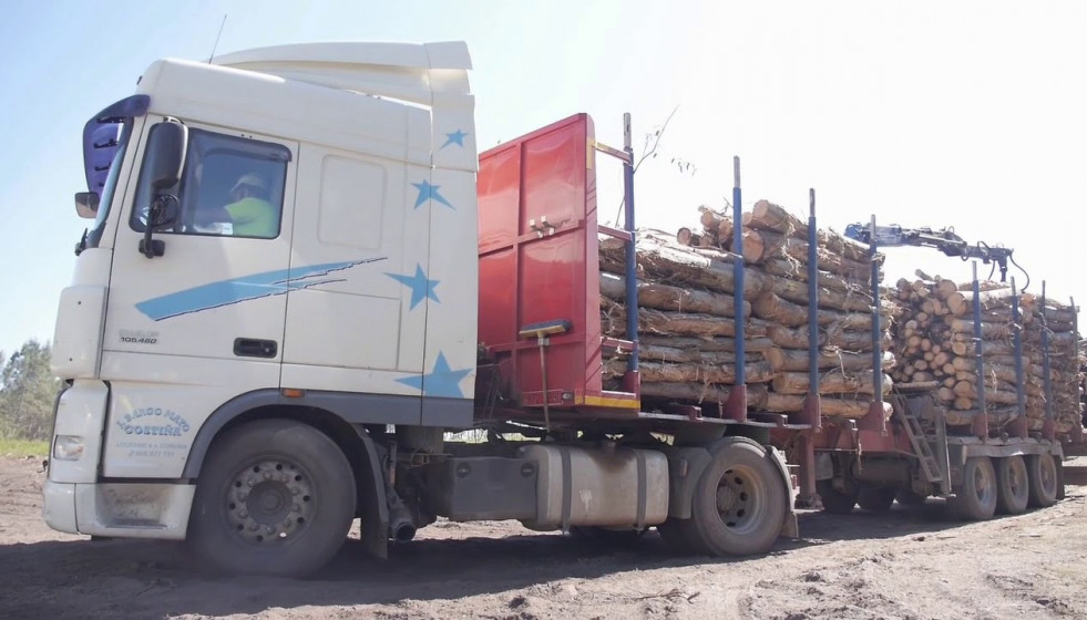 Camión con eucalipto en una imagen de Viveiros Ence