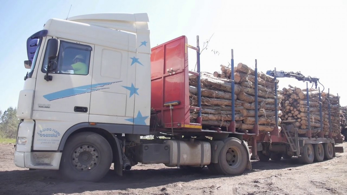 Camiu00f3n con eucalipto en una imagen de Viveiros Ence